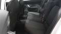 SEAT Ibiza 1.0 EcoTSI 95 CV 5 porte Style Wit - thumbnail 30
