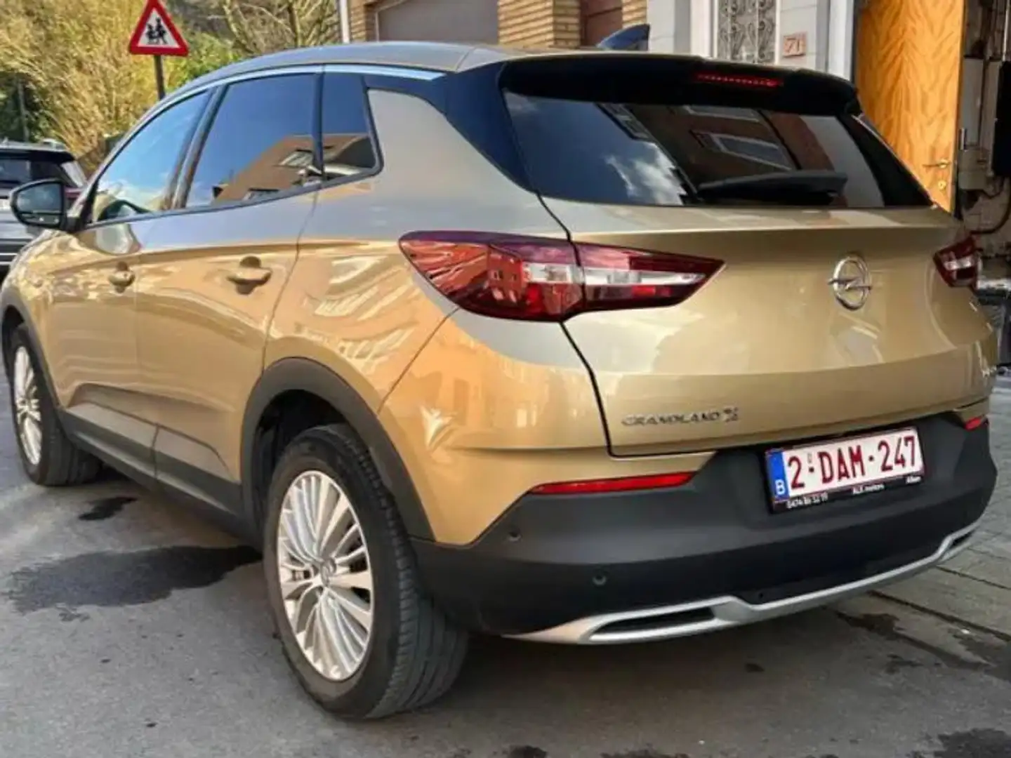Opel Grandland X Grandland X 1.2 Turbo Ultimate (EU6.2) Or - 2