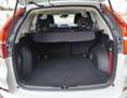 Honda CR-V 2.0i-VTEC 4WD Automatik Lifestyle Plus Weiß - thumbnail 6