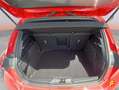 Ford Focus 1.0 Ecoboost MHEV 92kW ST-Line Rojo - thumbnail 7
