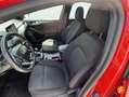 Ford Focus 1.0 Ecoboost MHEV 92kW ST-Line Rojo - thumbnail 12