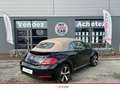 Volkswagen Coccinelle coccinelle Cabriolet 1.6 TDI 105 cv Zwart - thumbnail 8