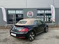 Volkswagen Coccinelle coccinelle Cabriolet 1.6 TDI 105 cv Schwarz - thumbnail 8
