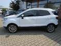 Ford EcoSport EcoSport Titanium X, Anhängerkupplung Weiß - thumbnail 5