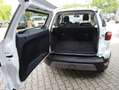Ford EcoSport EcoSport Titanium X, Anhängerkupplung Weiß - thumbnail 9