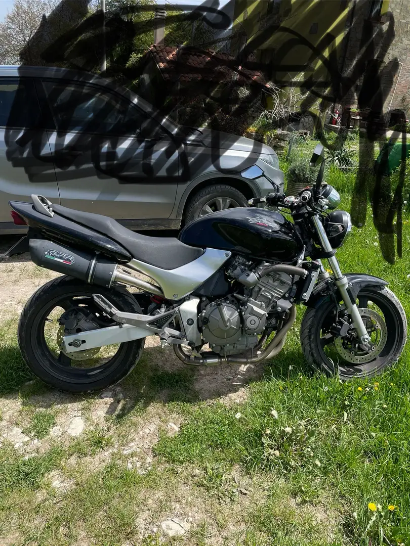 Honda Hornet 600 cc - 1