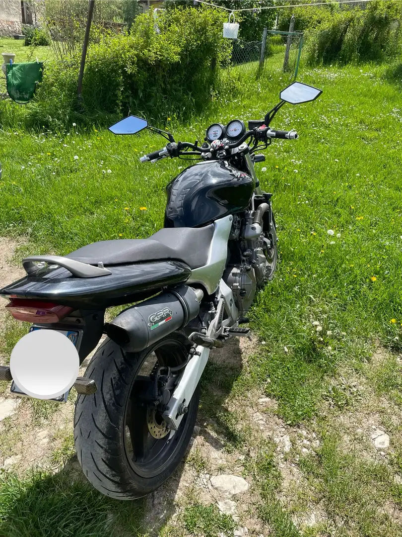 Honda Hornet 600 cc - 2