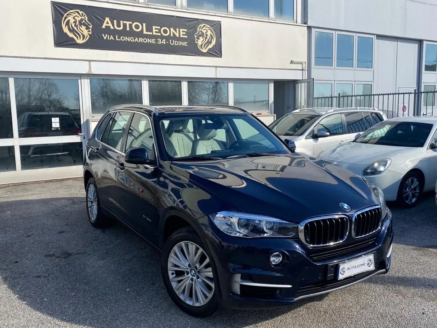 BMW X5 xdrive30d Luxury 258cv auto - 1