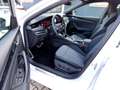 Skoda Octavia Combi 2.0 TDI Sportline DSG Matrix AHK Navi Weiß - thumbnail 7