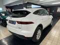 Jaguar E-Pace 2.0d i4 awd 150cv auto Blanc - thumbnail 5