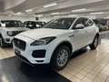 Jaguar E-Pace 2.0d i4 awd 150cv auto Blanc - thumbnail 4