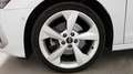 Audi A3 Sportback 35 2.0 tdi Business Advanced s-tronic Weiß - thumbnail 12