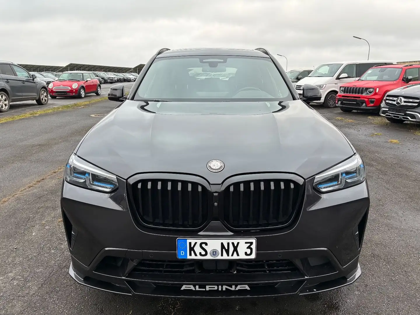 Alpina XD3 3.0 LASER Standheizung Pano 22` Gris - 2