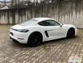 Porsche Cayman 718 Cayman GTS 4.0 |ACC|BOSE|LED|CarPlay|PASM-10 Weiß - thumbnail 12