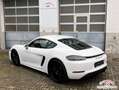 Porsche Cayman 718 Cayman GTS 4.0 |ACC|BOSE|LED|CarPlay|PASM-10 Weiß - thumbnail 13