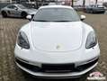 Porsche Cayman 718 Cayman GTS 4.0 |ACC|BOSE|LED|CarPlay|PASM-10 Weiß - thumbnail 17