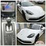 Porsche Cayman 718 Cayman GTS 4.0 |ACC|BOSE|LED|CarPlay|PASM-10 Weiß - thumbnail 38