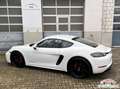 Porsche Cayman 718 Cayman GTS 4.0 |ACC|BOSE|LED|CarPlay|PASM-10 Weiß - thumbnail 14