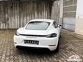 Porsche Cayman 718 Cayman GTS 4.0 |ACC|BOSE|LED|CarPlay|PASM-10 Weiß - thumbnail 18