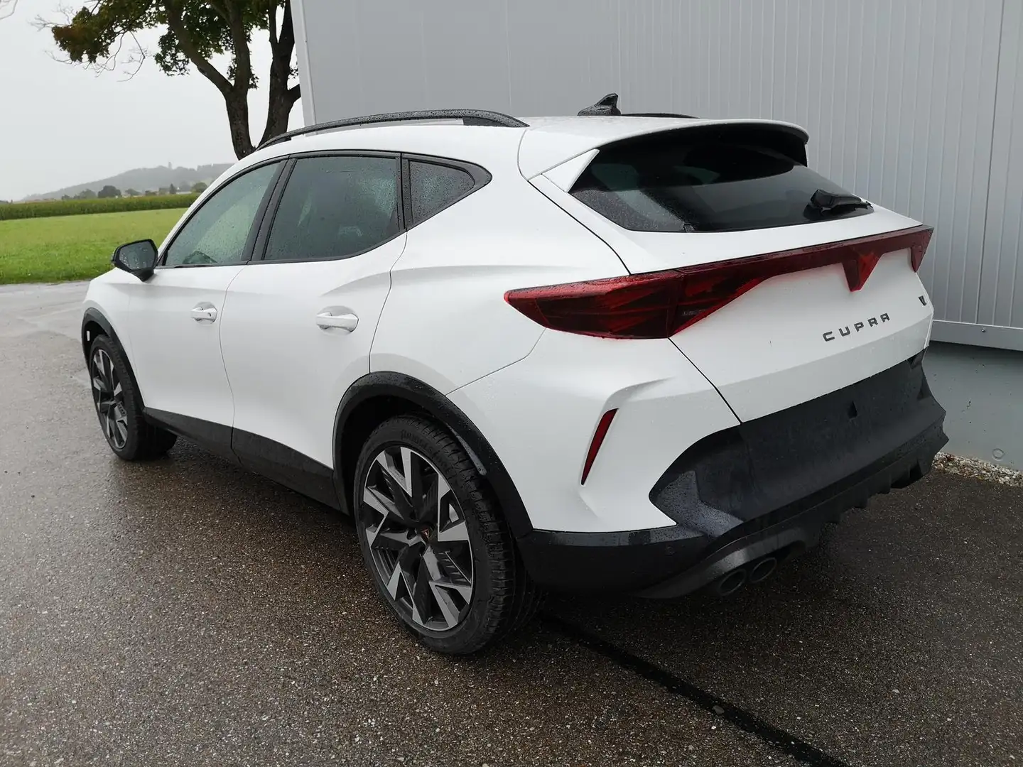 CUPRA Formentor VZ 2.0 TSI 245 kW 4Drive 2.0TSI DSG AHK GV5 245... Weiß - 2