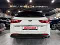 Kia Optima GT-Line PANO/ACC/AUT/LEDER/NAVI/XENON Weiß - thumbnail 6