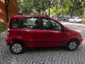 Fiat Panda 1.2 8V Dynamic Automatik | HU& AU NEU Rot - thumbnail 6