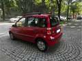 Fiat Panda 1.2 8V Dynamic Automatik | HU& AU NEU Rot - thumbnail 3