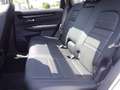Honda CR-V e:HEV Advance AWD Blanc - thumbnail 20