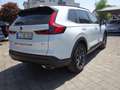 Honda CR-V e:HEV Advance AWD Blanc - thumbnail 10