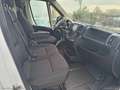 Fiat Ducato 33 2.2Mjt 140 PM-TN Easy Pro Fur. Blanc - thumbnail 8