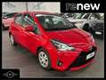 Toyota Yaris 5p. Cool 1.5h 100cv my18 Euro 6C FULL-HYBRID Rot - thumbnail 1