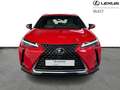 Lexus UX 250h Business Line 2WD Rood - thumbnail 7