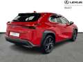 Lexus UX 250h Business Line 2WD Rood - thumbnail 17