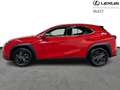 Lexus UX 250h Business Line 2WD Rood - thumbnail 5