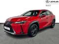 Lexus UX 250h Business Line 2WD Rood - thumbnail 1