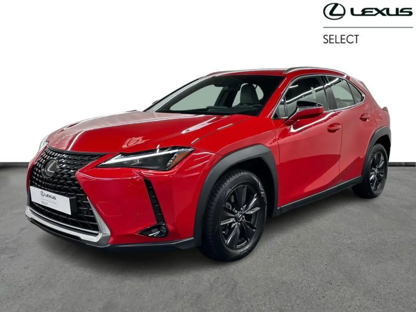 Lexus UX 250h Business Line 2WD Rood - 1