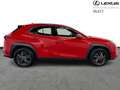 Lexus UX 250h Business Line 2WD Rood - thumbnail 16