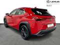 Lexus UX 250h Business Line 2WD Rood - thumbnail 3