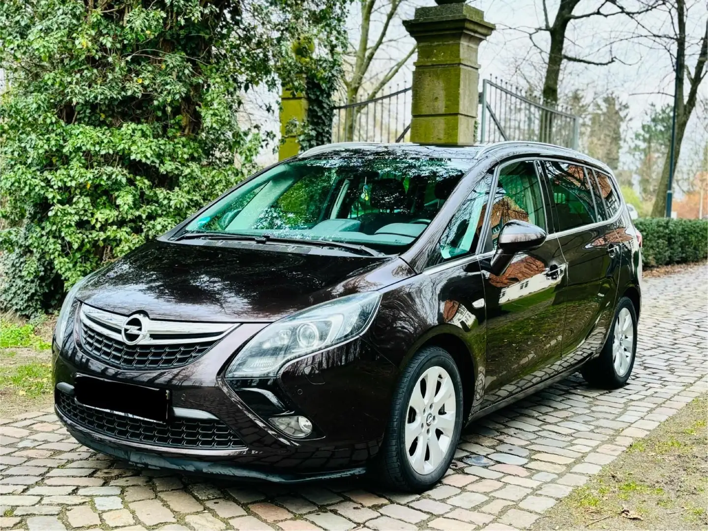 Opel Zafira 2.0ZDCI 165PS Červená - 1