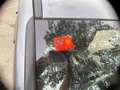 BMW X1 xDrive 20dA Gris - thumbnail 21