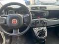 Fiat Panda 1.2 - 69CV - thumbnail 2