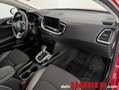 Kia Ceed SW / cee'd SW 1,6 CRDi SCR ISG Gold 48V DCT Gold Rot - thumbnail 23