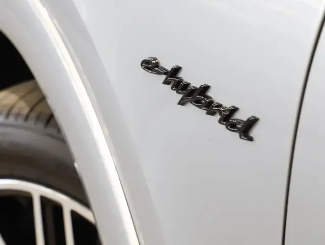 Porsche Cayenne E-Hybrid Coupé Black Edition Ansicht 8