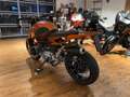 BMW R 1100 RS crambler  Neu"  4,99% Oranje - thumbnail 11