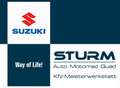 Suzuki GSX 8S Edition - Aktion incl. Zubehör Alb - thumbnail 14