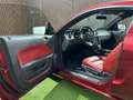 Ford Mustang 4,6 V8 GT Handschalter *österreichisches Fahrze... Rot - thumbnail 35