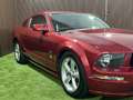 Ford Mustang 4,6 V8 GT Handschalter *österreichisches Fahrze... Rot - thumbnail 9