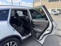Renault Koleos 1.6 Energy dCi - 130 4x2 Intens Gps + Clim + Camera AR Weiß - thumbnail 13