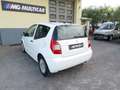 Citroen C2 1.1 Elegance km 121600 cinghie nuove/1proprietario Bianco - thumbnail 12