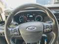 Ford Transit Kombi 350 L2 Trend "Behindertentransport Zilver - thumbnail 22